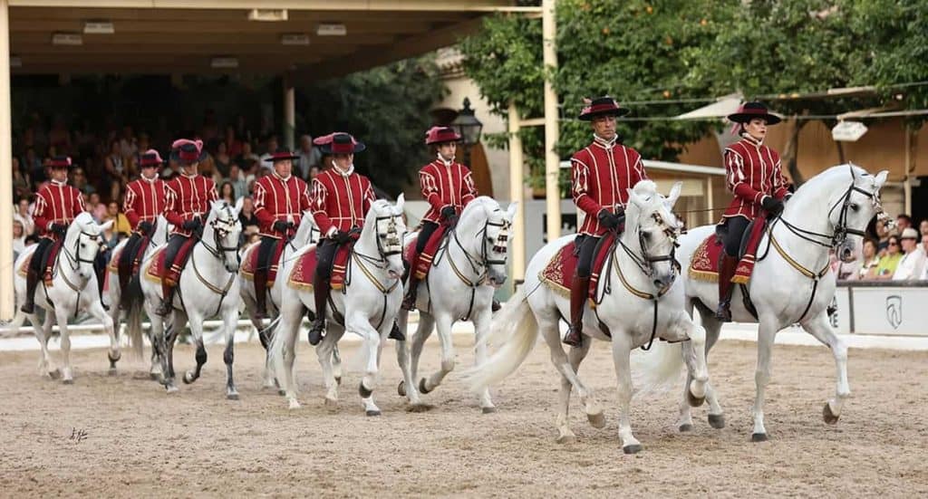 caballerizas reales cordoba
