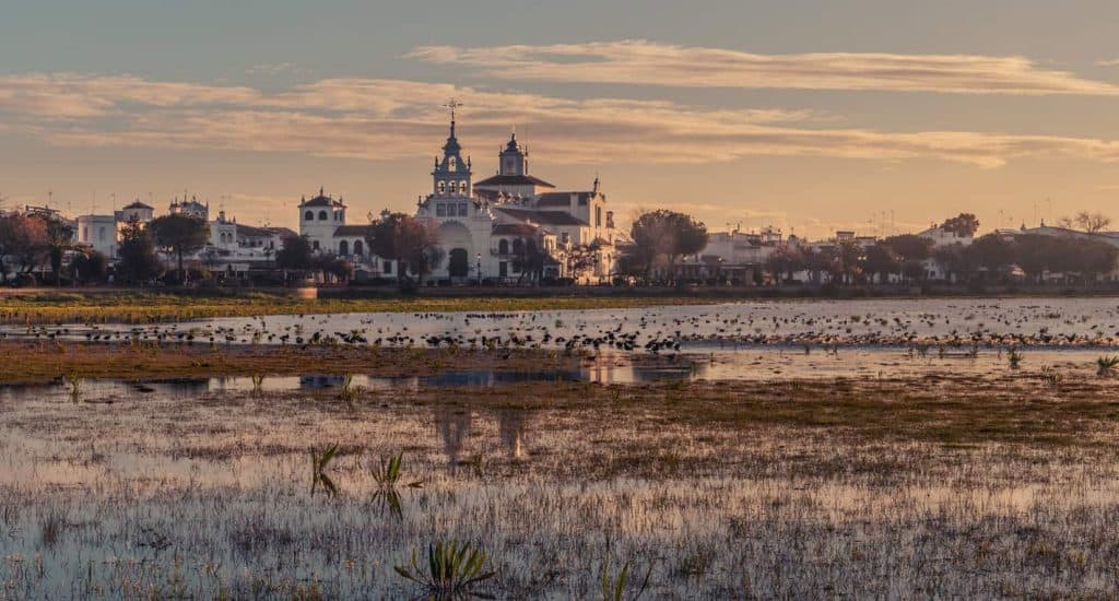 Things to do in El Rocio