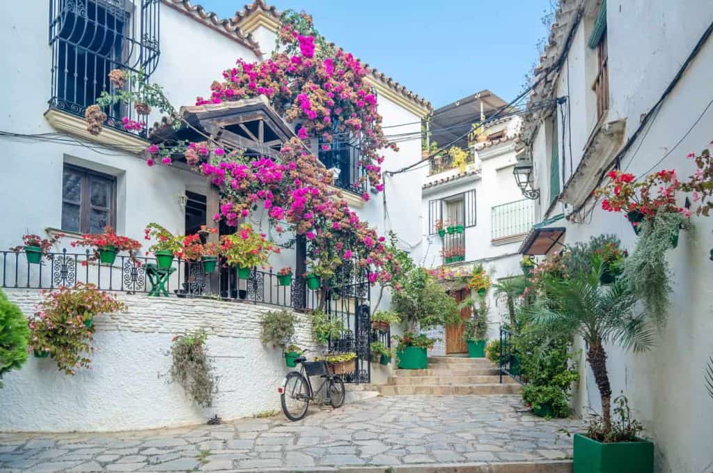 Things to do in Estepona Spain