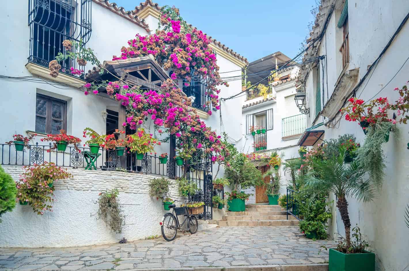 Things to do in Estepona Spain