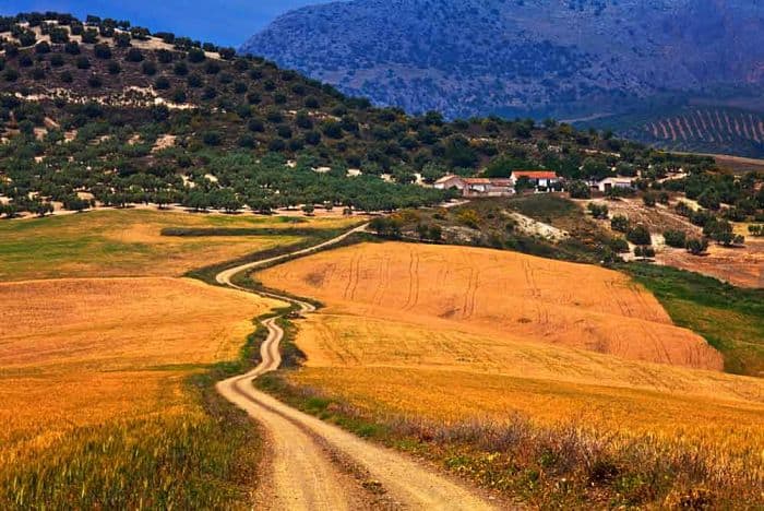 Andalusia car hire